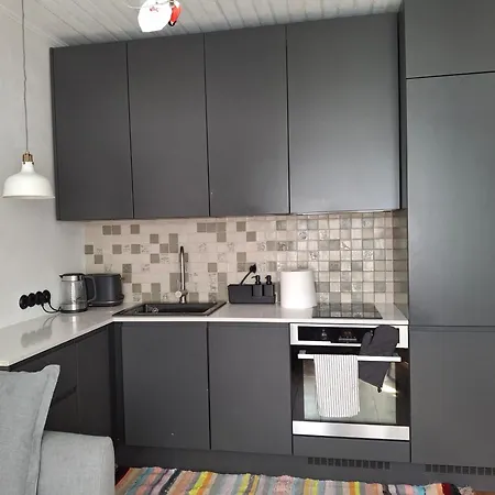 Villu Kalamaja - 4 Level With Sauna & Terrace Tallinn