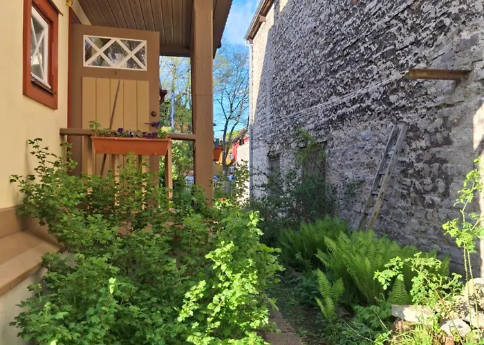 Villu Kalamaja - 4 Level With Sauna & Terrace Tallinn